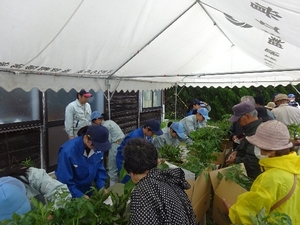 「緑の市」ご来場ありがとうございました