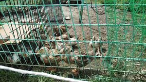 A科の生徒が夏休みに北海道・埼玉県・福岡県・熊本県で先進地留学研修を行いました。