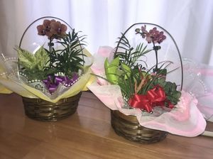 A科の生徒が夏休みに北海道・埼玉県・福岡県・熊本県で先進地留学研修を行いました。