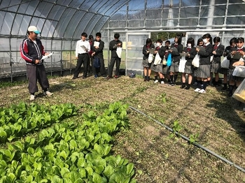 地元再発見!!頑張る農家・農業施設を見学