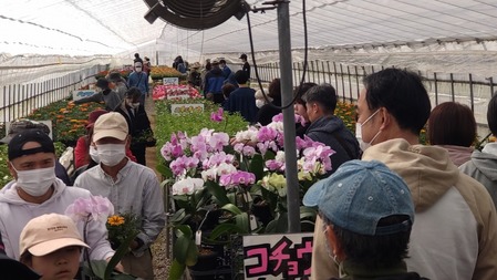 は６